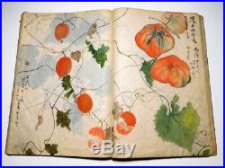 1900s Hand-Painted Sketchbook Esquisses & Paintings Japanese Original Antique