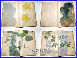1900s Hand-Painted Sketchbook Esquisses & Paintings Japanese Original Antique