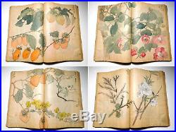 1910s Hand-Painted Sketchbook Many Colored Paintings Japanese Original Antique