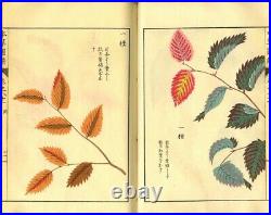 1920 Honzo Zufu Kyobokurui Plants Picture Japanese Original Woodblock Print Book