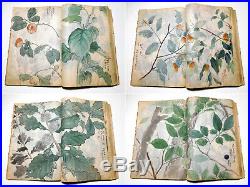 1920s Hand-Painted Sketchbook Many Colored Paintings Japanese Original Antique