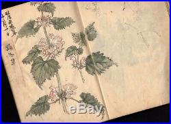 1930s Hand-Painted Sketchbook Many Colored Flower Paintings Japanese Antique