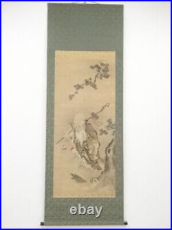 5507156 Japanese Hanging Scroll / Hand Painted / Fukurokuju