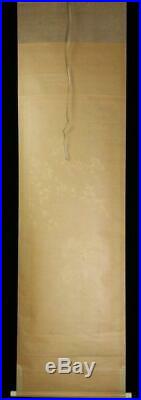 ASO54 Japanese hanging scroll (on silk) Kojima Takanori withbox #emakimono