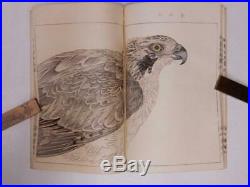 Antique 1913 Woodblock Print Book One Hundred Birds by Eisho Colored Picture