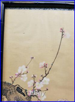 Antique CHinese or Japanese Scroll Painting Parrot Bird Pine Tree Signed