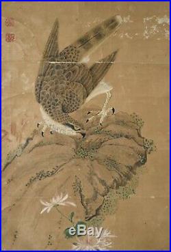 Antique Japanese Hanging Scroll Painting of Eagle Hawk Kano School