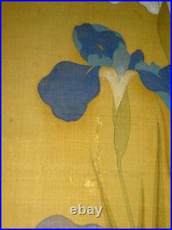 Antique Japanese Painting Scroll Flowering Iris in style of Sakai Hoitsu (AHB)