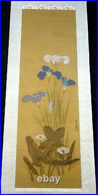 Antique Japanese Painting Scroll Flowering Iris in style of Sakai Hoitsu (AHB)