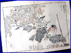BAIREI Chrysanthemum Flowers birds painting JPN Woodcut album KIKU HYAKUSHU #1
