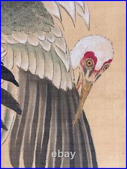 Beautiful signed painted scroll depicting group of Cranes. 19th century ZA97