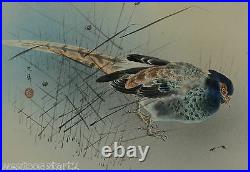 Chinese or Japanese Painting Pheasant on Silk Signed Antique