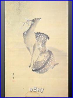 DEER JAPANESE PAINTING HANGING SCROLL Antique OLD Art Japan KAKEJIKU d601