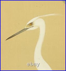 Domoto Insho Japanese hanging scroll / White Egret Heron on Plum Tree W962