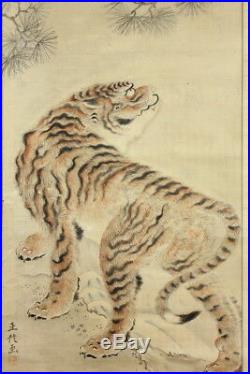 From Japan CAT TIGER Hanging Scroll Japanese Painting OLD VINTAGE BEAST INK d012