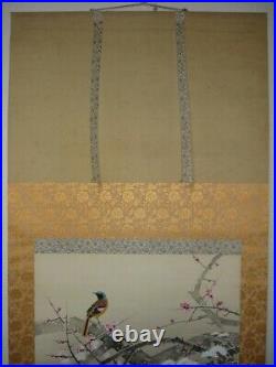 HANGING SCROLL JAPANESE PAINTING FROM JAPAN BIRD PLUM VINTAGE PICTURE AGED 339p