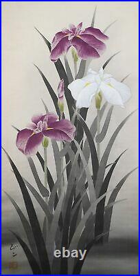 HANGING SCROLL JAPANESE PAINTING FROM JAPAN OLD IRIS FLOWER PLANT VINTAGE d578