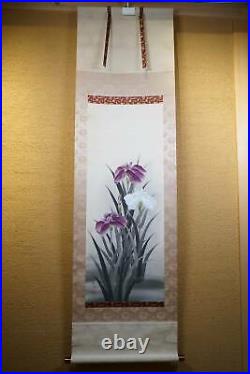 HANGING SCROLL JAPANESE PAINTING FROM JAPAN OLD IRIS FLOWER PLANT VINTAGE d578