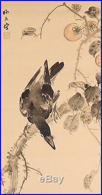 HANGING SCROLL JAPANESE PAINTING FROM JAPAN Persimmon BIRD CROW VINTAGE ART d597