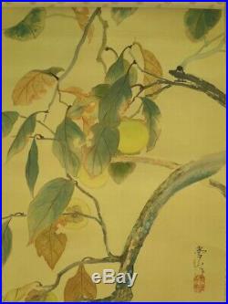HANGING SCROLL JAPANESE PAINTING FROM JAPAN Persimmon BIRD VINTAGE OLD ART 374m