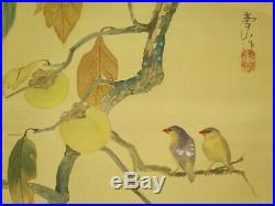 HANGING SCROLL JAPANESE PAINTING FROM JAPAN Persimmon BIRD VINTAGE OLD ART 374m