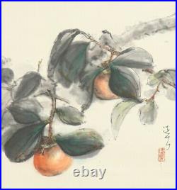 HANGING SCROLL JAPANESE PAINTING FROM JAPAN Persimmon VINTAGE Original ART e337