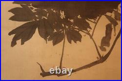 HANGING SCROLL JAPANESE PAINTING FROM JAPAN Pine Peony ANTIQUE PICTURE Old d891
