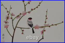 HANGING SCROLL JAPANESE PAINTING FROM JAPAN Plum BIRD Old Vintage ART 933q