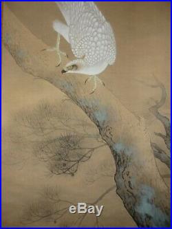 HANGING SCROLL JAPANESE PAINTING From JAPAN HAWK PLANT PICTURE VINTAGE AGED 752n