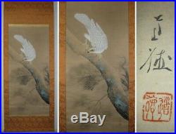 HANGING SCROLL JAPANESE PAINTING From JAPAN HAWK PLANT PICTURE VINTAGE AGED 752n