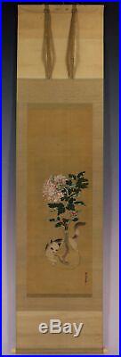 HANGING SCROLL JAPANESE PAINTING JAPAN Cat Peony ANTIQUE PICTURE ORIGINAL 408m
