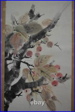 HANGING SCROLL JAPANESE PAINTING JAPAN Cherry blossom ANTIQUE Old ART 724q