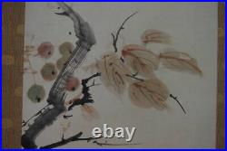 HANGING SCROLL JAPANESE PAINTING JAPAN Cherry blossom ANTIQUE Old ART 724q
