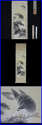 HANGING SCROLL JAPANESE PAINTING JAPAN HAWK PINE ANTIQUE VINTAGE PICTURE d333