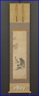 HANGING SCROLL JAPANESE PAINTING JAPAN Monkey ANTIQUE Kakejiku OLD ART d678