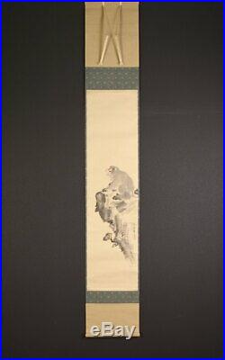 HANGING SCROLL JAPANESE PAINTING JAPAN Monkey ANTIQUE Kakejiku OLD ART d859