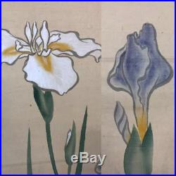 HANGING SCROLL JAPANESE PAINTING JAPAN OLD IRIS firefly ORIGINAL PICTURE d055