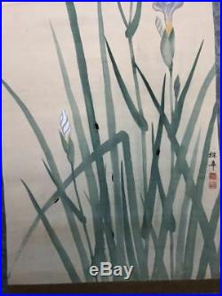 HANGING SCROLL JAPANESE PAINTING JAPAN OLD IRIS firefly ORIGINAL PICTURE d055