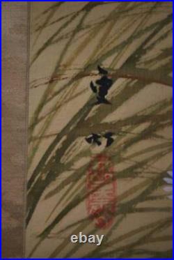 HANGING SCROLL JAPANESE PAINTING JAPAN Pheasant Kakejiku Old ART 748q