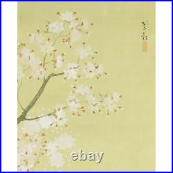 HAWK HANGING SCROLL JAPANESE PAINTING From JAPAN OLD PICTURE Cherry Blossom 598p