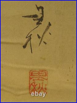 IK455 Peacock Bird Animal Hanging Scroll Japanese Art painting antique Picture