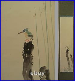 IK464 Kingfisher Bird Animal Hanging Scroll Japanese painting Picture antique
