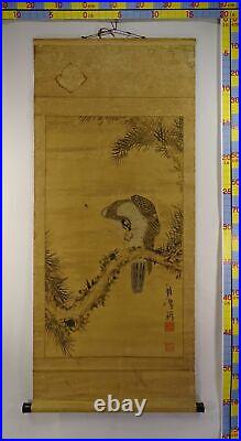 IK491 Hawk Bird Animal Hanging Scroll Japanese Art painting antique Picture