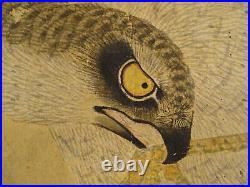 IK491 Hawk Bird Animal Hanging Scroll Japanese Art painting antique Picture