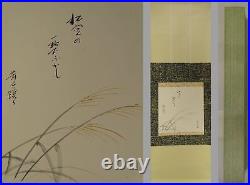 IK537 Pampas grass Plant Flower Hanging Scroll Japanese painting antique Picture