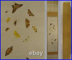 IK549 Butterfly Bug Animal Hanging Scroll Japanese Art painting antique Picture