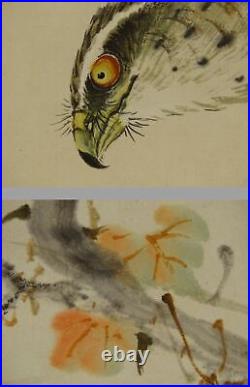 IK693 Hawk Hunting Bird Animal Hanging Scroll Japanese Art painting Picture