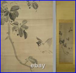 IK79 Sparrow Bird Animal Hanging Scroll Japanese Art painting Nihonga Picture