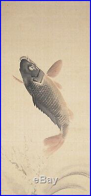 JAPANESE HANGING SCROLL KAKEJIKU / Koi Fish Painting by Shodo Yukawa #677