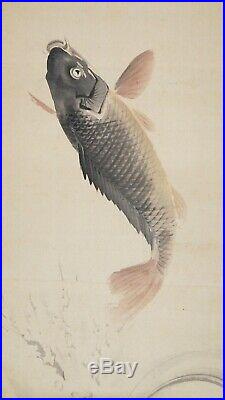 JAPANESE HANGING SCROLL KAKEJIKU / Koi Fish Painting by Shodo Yukawa #677
